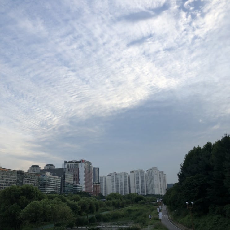  휴가와 휴가 사이의 일상