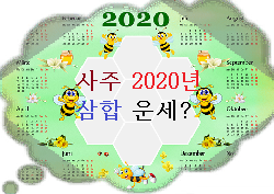  2020년 경자년 삼합의 사주운세 및 월신수(月身數) 움직임 ? 사주상담팔자풀이
