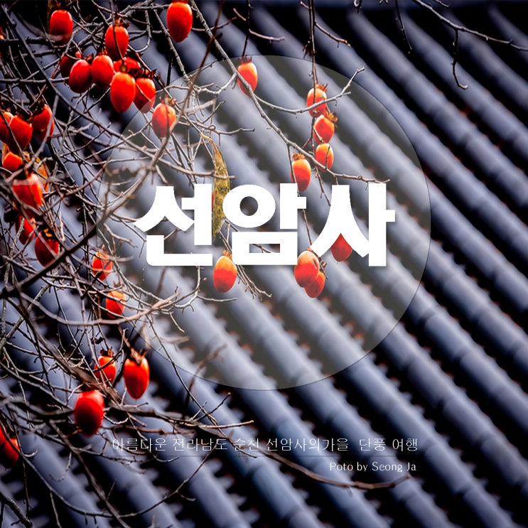 가을 단풍 여행 / 아름다운 사찰 순천 선암사