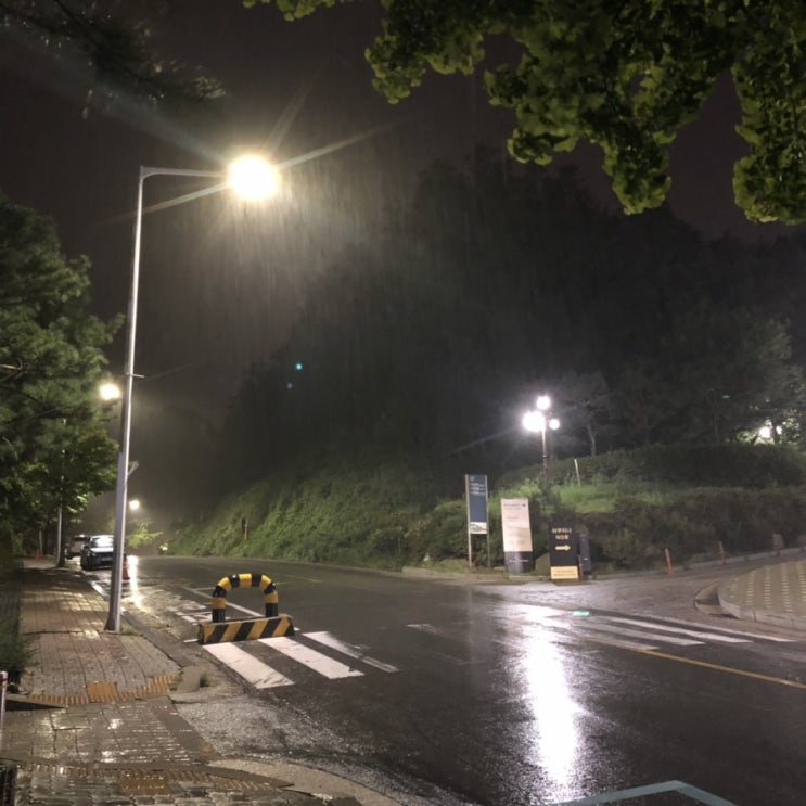  9월 1
