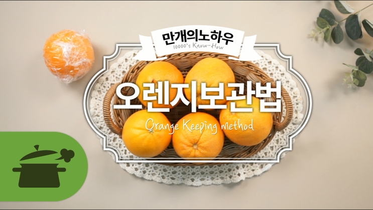  오렌지 보관법, 손질법, 예쁘게 자르는법! 오렌지의 모든것 [만개의레시피]