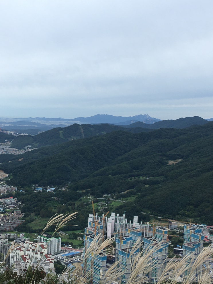  송라산, 천마산, 백봉산