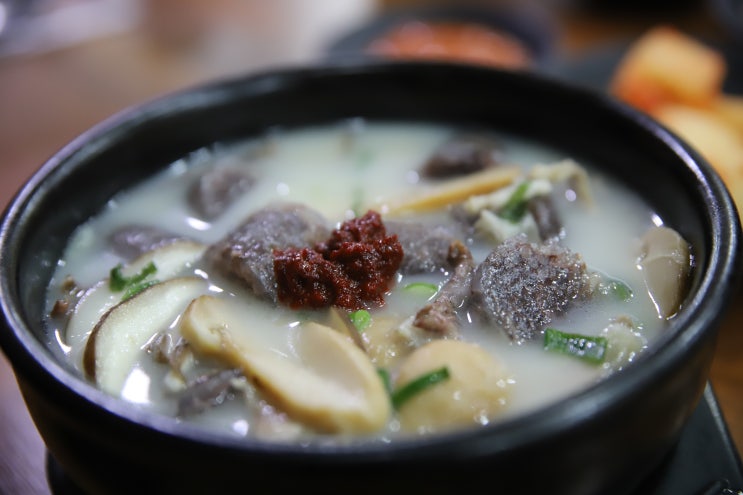 거제 고현시장 맛집 '가야밀면 송이국밥' 향긋한 송이버섯국밥!