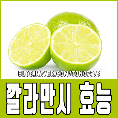  깔라만시 효능 6가지 알아두세요