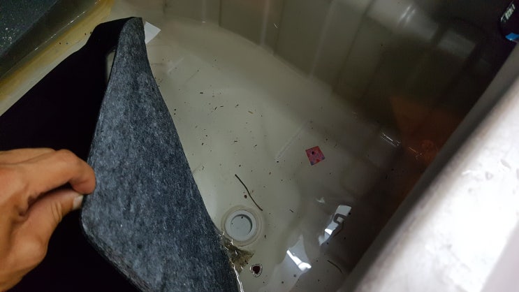  [울산] 태풍 '타파' 피해 없으시죠? 침수차량 청소