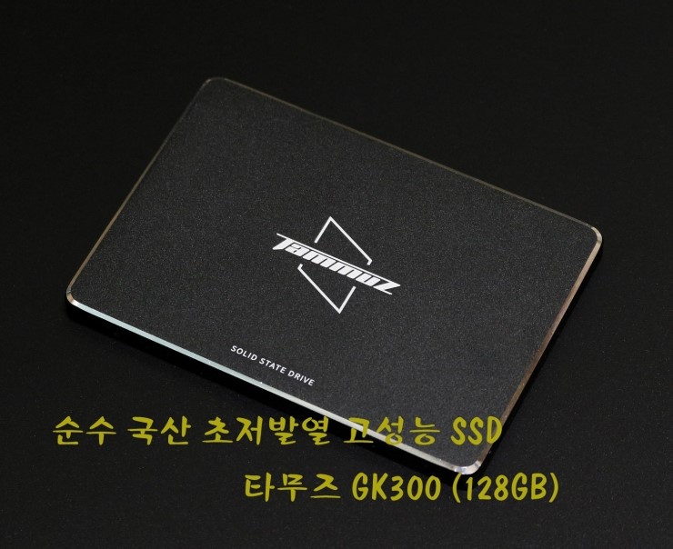  순수 국산 초저발열 고성능 SSD 타무즈 GK300 (128GB)