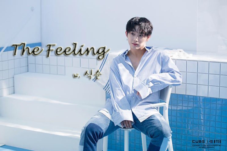 [비투비 빙의글 / 임현식 빙의글] The Feeling _ 01