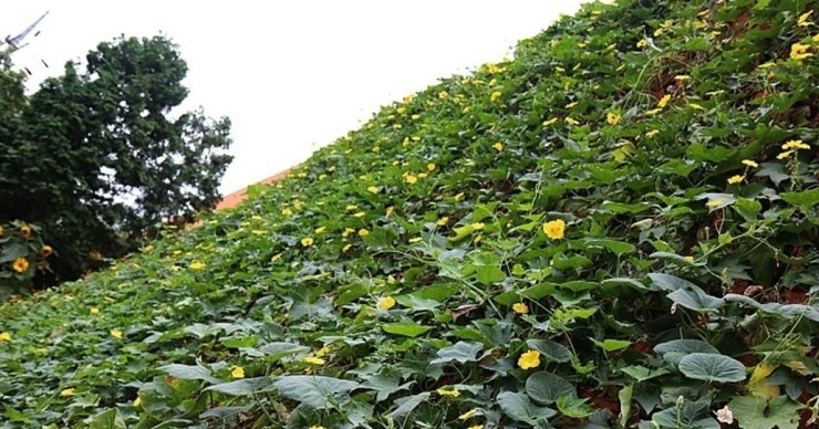  낮과 밤의 길이가 같은 추분(秋分) 