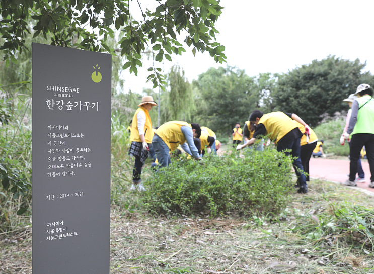  도심 내 미세먼지 저감, 까사미아가 '한강숲가꾸기' 활동으로 함께 합니다