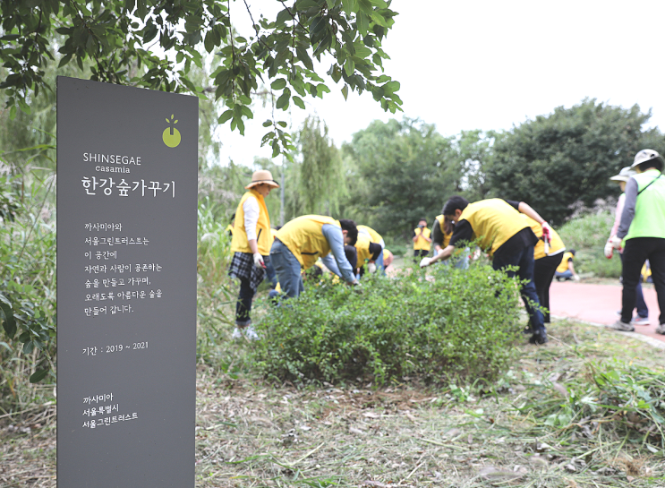 도심 내 미세먼지 저감, 까사미아가 '한강숲가꾸기' 활동으로 함께 합니다