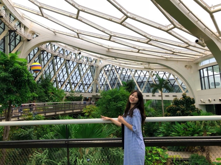 [태풍과 함께 온 가을] 마곡나루 서울식물원 온실 | 용산역 쇼핑