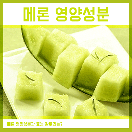  멜론 칼로리 및 영양성분 효능은?