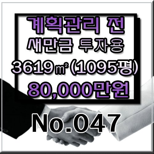  새만금 투자용 매물 - 80,000만원