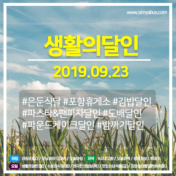 생활의달인 20190923 (689) 은둔식달-포항 휴게소 김밥 달인,  운둔식달-파스타&팬 피자 달인, 도배 달인, 파운드 케이크 달인, 밤까지 달인