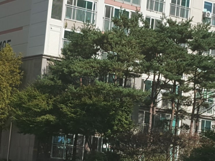  큰기보다  알찬것이 멀리간다