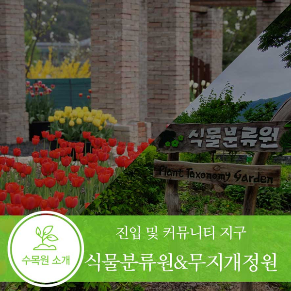 [수목원소개] 식물분류원 & 무지개정원