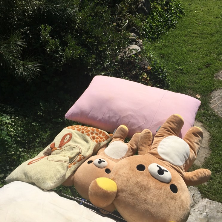  가을은사랑의계절
