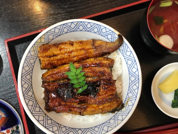 [4월 시즈오카] 우나기 하라가와 장어덮밥 / 시즈오카 맛집 / 장어덮밥 맛집