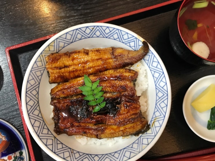  [4월 시즈오카] 우나기 하라가와 장어덮밥 / 시즈오카 맛집 / 장어덮밥 맛집