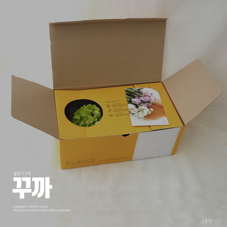  꽃정기구독 덕분에 집안이 화사해졌어요!