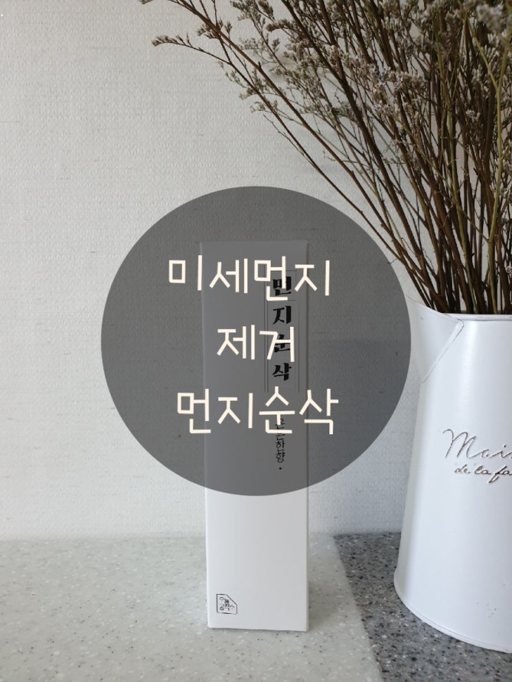  [오늘공작소] 먼지순삭, 미세먼지제거 스프레이!
