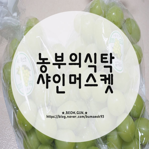  [농부의 식탁] 인기좋은 카카오톡 기프티콘 망고포도 샤인머스켓 선물 받고 후기!