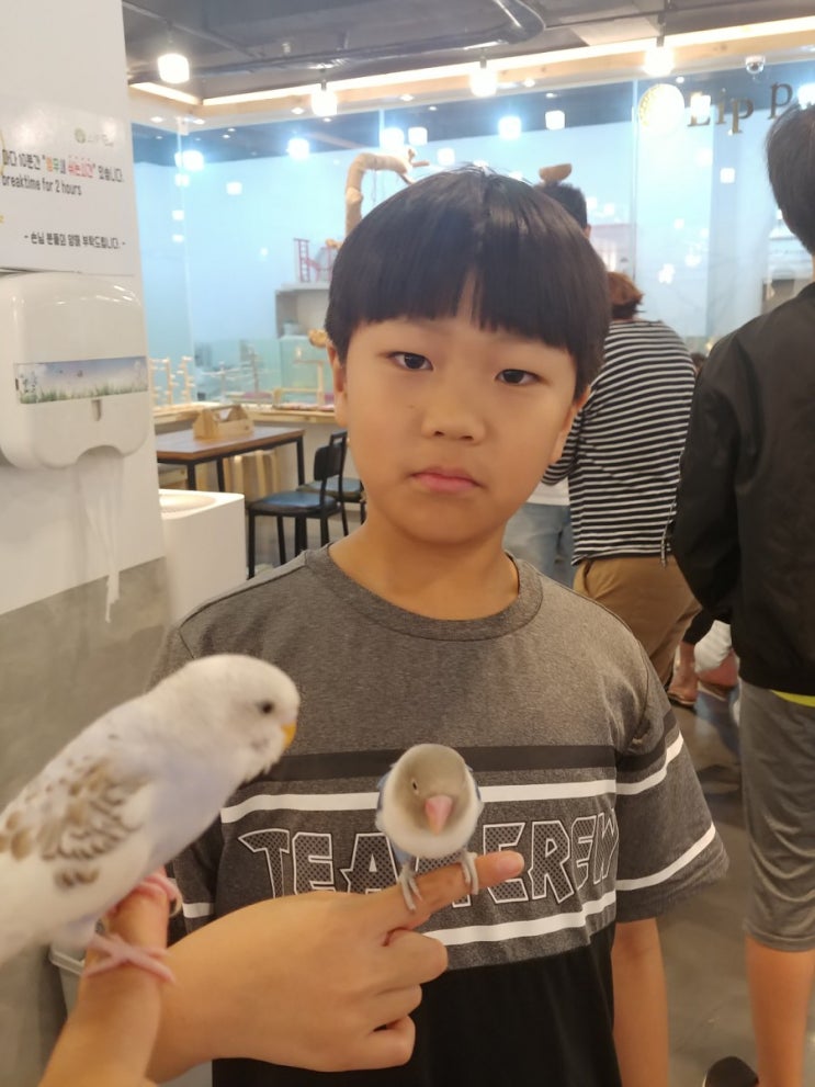  대전앵무새카페, 리프패럿 도안점 최고의 감성힐링공간이죠