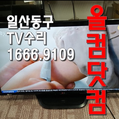  LED 백라이트 불량 일산 동구 TV 수리 티비 출장 AS LG 47LN5400