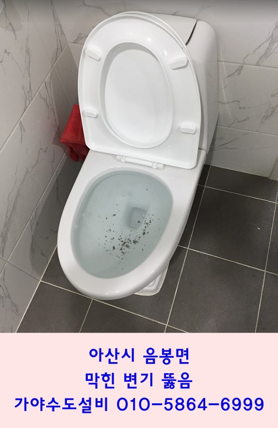  아산시 음봉면 신휴리 전원주택 변기막힘 막힌변기뚫어드림 변기가막혔어요 빠른출장와주세요~