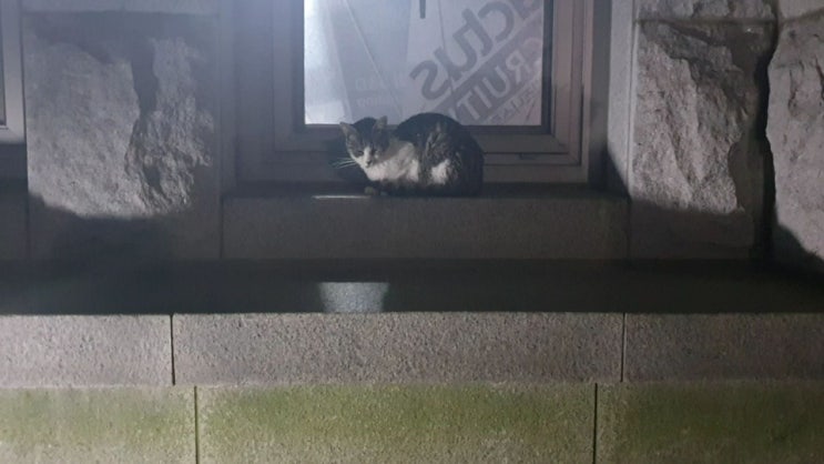 [수능 전 멘탈관리] 미리 알아두면 좋을 멘탈 관리법