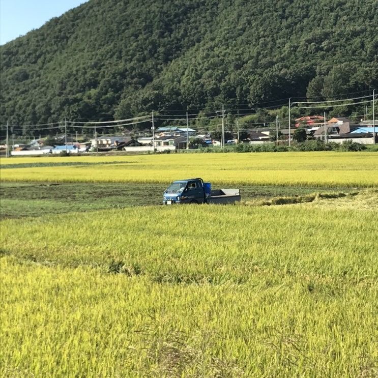  2019-09 ; 열한시면 많이 버텼지