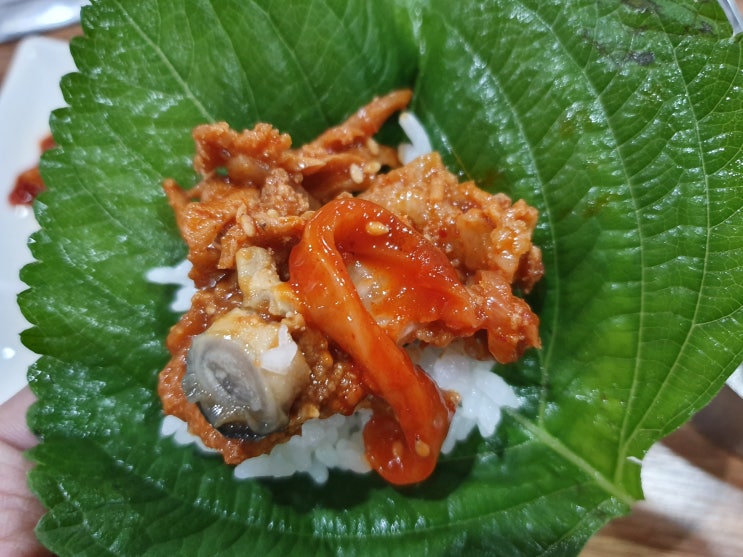  서민갑부 폐교식당 쌈밥 군산 옹고집 쌈밥