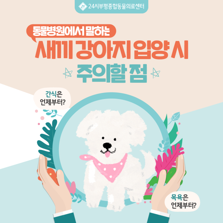  동물병원에서 말하는 새끼 강아지 입양 시 주의할 점