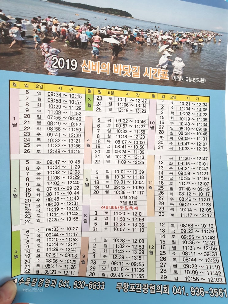  충남여행 무창포신비의바닷길 열리는시간 물때 & 비내리는 대천항