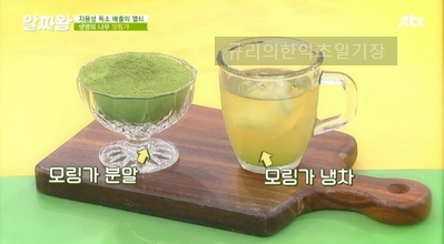  모링가 효능 분말 제대로 먹는법 모링가잎 부작용은?