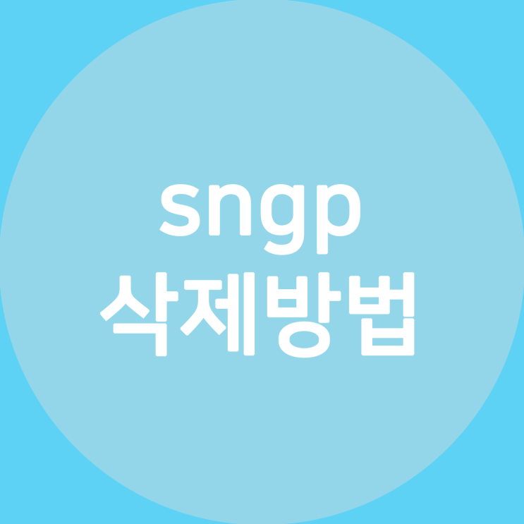  sngp 삭제 sngp.exe 삭제 고클린 사용법만 알면 손쉽게 가능!