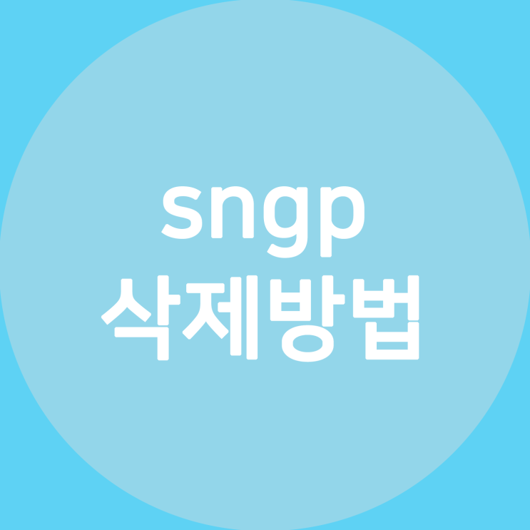 sngp 삭제 sngp.exe 삭제 고클린 사용법만 알면 손쉽게 가능!