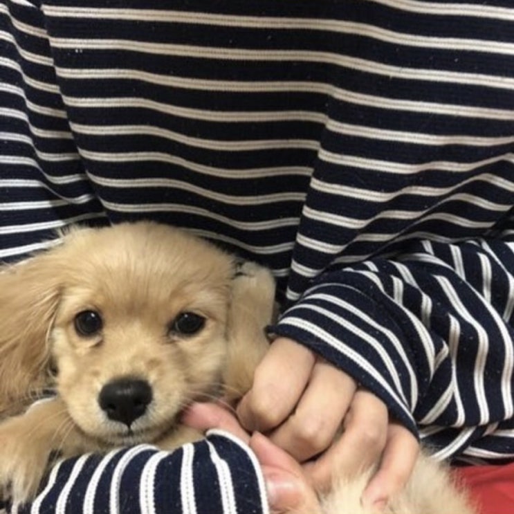  나의 요즈음 ㅎ_ㅎ