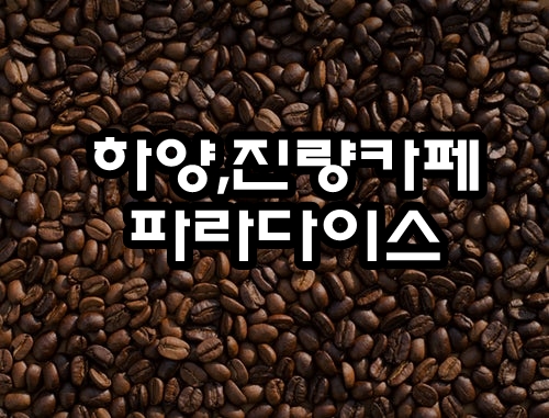  경산 카페 :: 파라다이스 커피