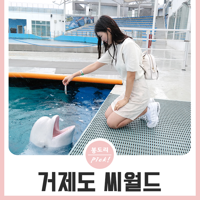  경남 여행지 거제 씨월드 할인예약으로 남자친구랑 다녀왔어요>,<