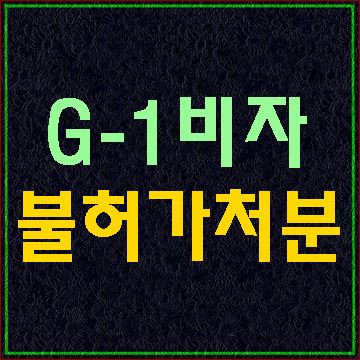  난민비자 G1 신청 불허가에 대한 이의신청 행정심판