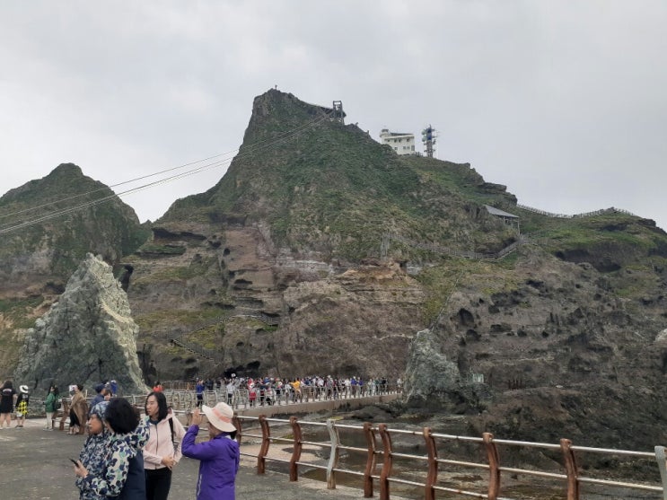  짧고 굵은 울릉도, 독도 여행(산행)~~