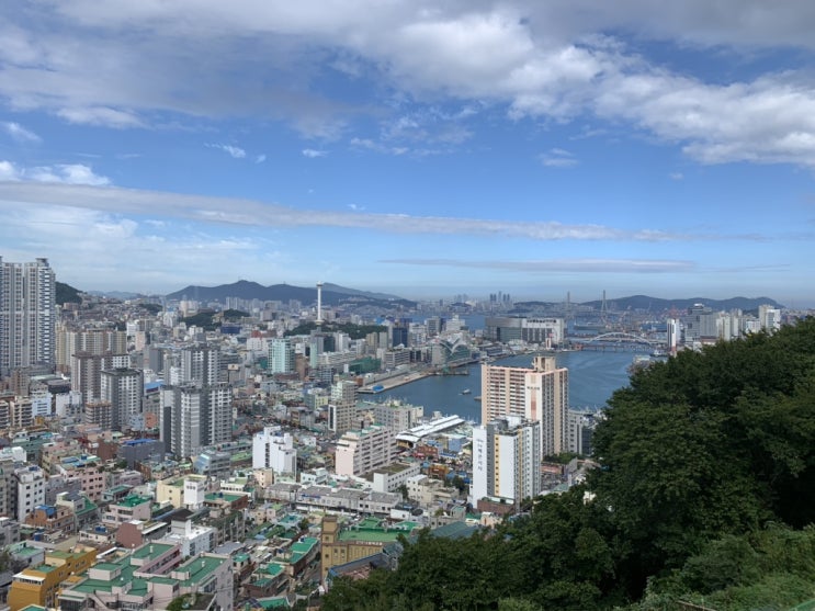  부산 천마산로 가을바람