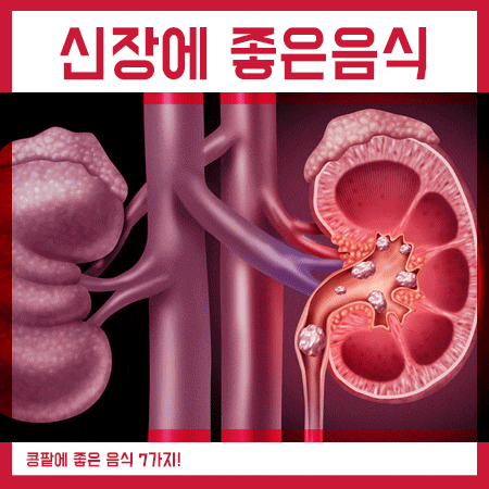  신장에 좋은음식 추천 6가지 영양성분 및 효능