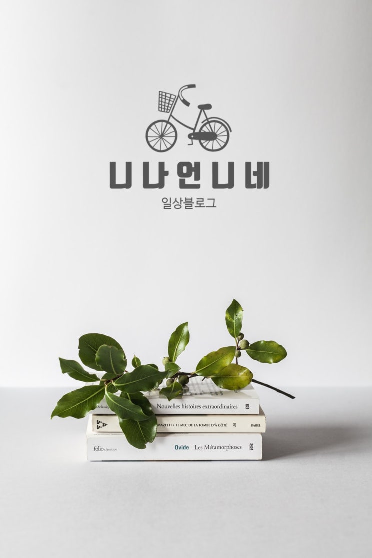 일상 탈출 - 좋은 책 추천