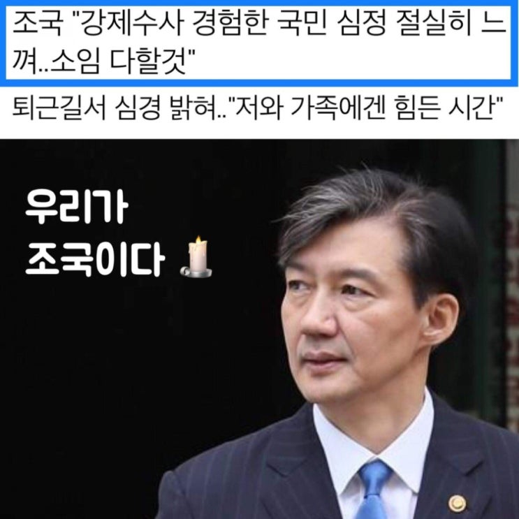  우리가 대한의 조국이다