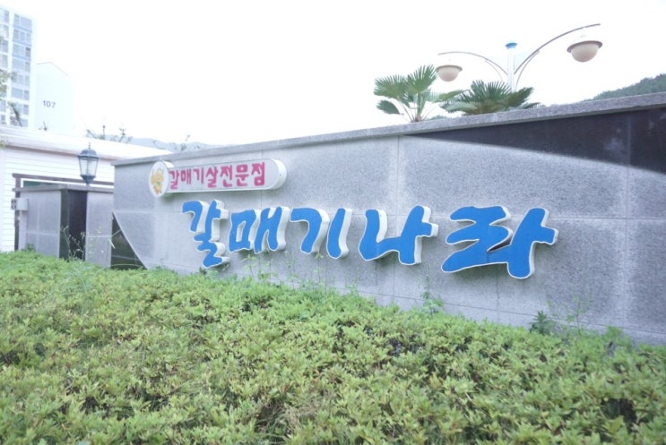  진해 자은동 맛집 '갈매기나라' 주말 가족들 외식 추천~~!!