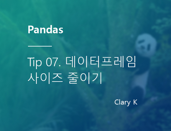 [파이썬] 판다스(pandas) 팁7. 데이터프레임 메모리 사이즈 줄이기