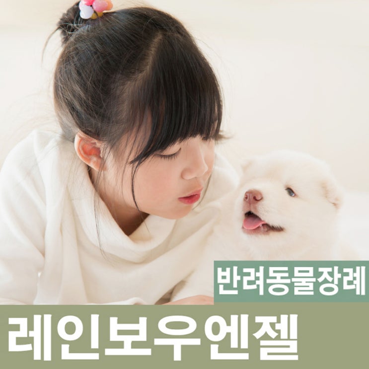  서울 광주 용인 안양 성남 강아지 장례 고양이 장례식장의 올바른 선택!!