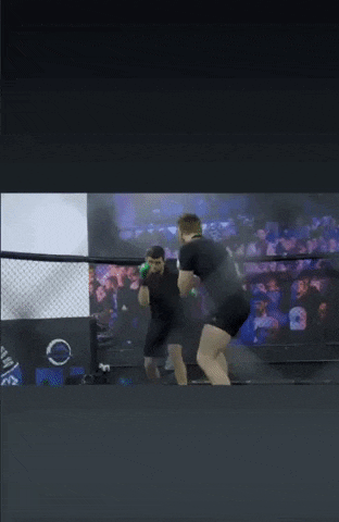코너 맥그리거 스파링 영상(GIF) 코너 맥그리거 스파링 영상(GIF)